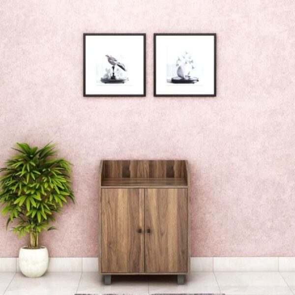 Wooden-Shoe-Cabinet-With-Doors-4.jpg